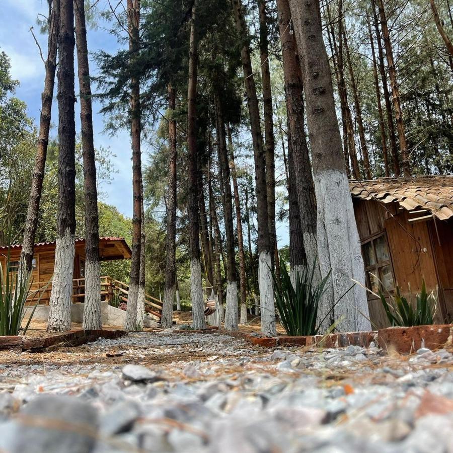 El Descanso Casa-Hotel Zacatlan. エクステリア 写真